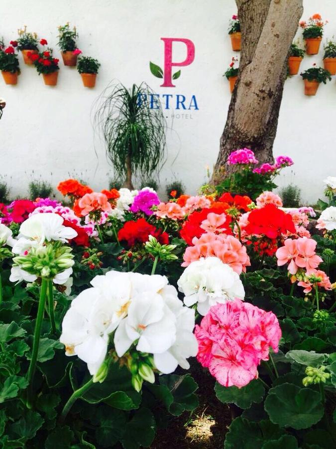 Hotel Petra San Miguel de Allende Exterior photo